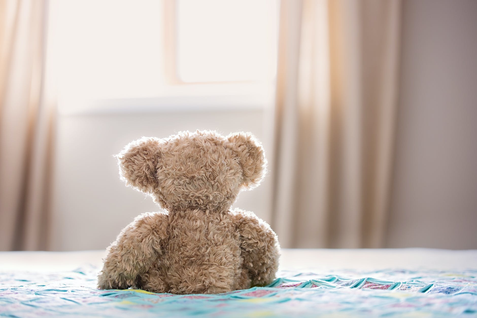 brown bear plush toy on bed