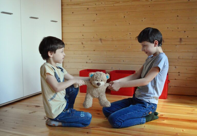 angry little brothers fighting and pulling toy to sides