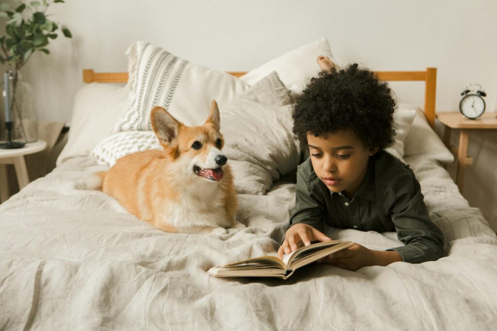 little boy lying in bed with a corgi dog